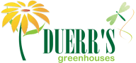 Duerrs Greenhouses | John and Donna Duerr serving Methuen Greenhouse Merrimack Valley Southern New Hampshire Massachusetts. Call 978.794.8180